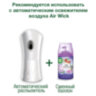 Сменный баллон 250 мл, AIRWICK LifeScents "Волшебный сад", для автоматических освежителей, универсальный, 601849