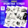 Тетради предметные, КОМПЛЕКТ 12 ПРЕДМЕТОВ, 48 л., матовая ламинация, BRAUBERG, "BLACK&WHITE", 404835, 404835