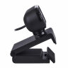 Веб-камера A4TECH PK-925H, 2 Мп, микрофон, USB 2.0, регулируемый крепеж, черная, 1413193, 513941