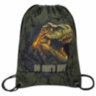Мешок для обуви BRAUBERG PREMIUM, карман, подкладка, светоотражайка, 43х33 см, Dino attack, 272424, 272424