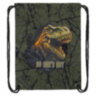 Мешок для обуви BRAUBERG PREMIUM, карман, подкладка, светоотражайка, 43х33 см, Dino attack, 272424, 272424