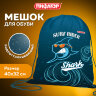 Мешок для обуви ПИФАГОР, 1 отделение, 40х32 см, "Shark attack", 271604, 271604