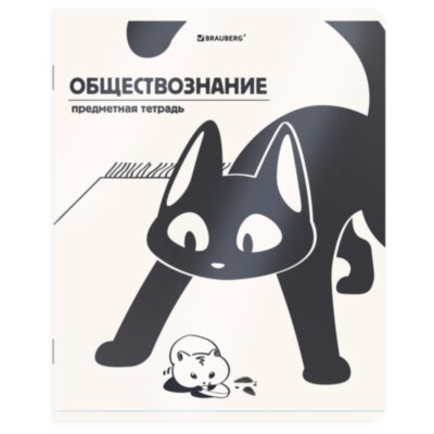 Тетрадь предметная КОТ-НЕПОСЕДА 48 л., пластиковая обложка, ОБЩЕСТВОЗНАНИЕ, клетка, подсказ, BRAUBERG, 405528, 405528