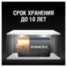Батарейки КОМПЛЕКТ 2 шт., DURACELL Basic ОРИГИНАЛ, D (LR20, 13А), алкалиновые, блистер, MN 1300D LR20, 450401