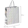 Пакет подарочный новогодний (1 шт.) 26x13x32 см (L), ГОЛОГРАФИЯ ассорти 3 цвета, ЗОЛОТАЯ СКАЗКА, 609612, 24 шт., 609612